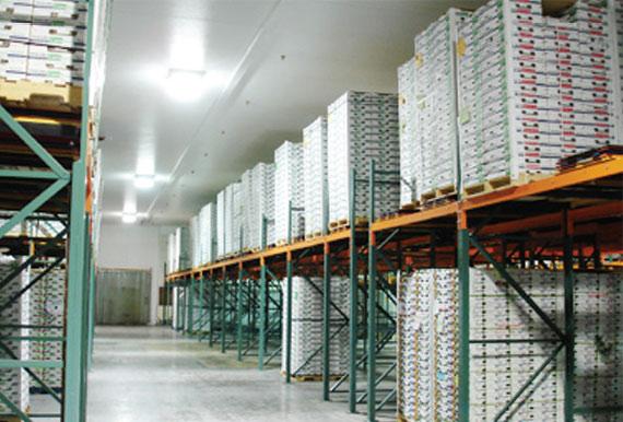 Maruzen Cold Storage Drastically Reduces Operating Costs by Installing Carlisle Controls & EC Motor