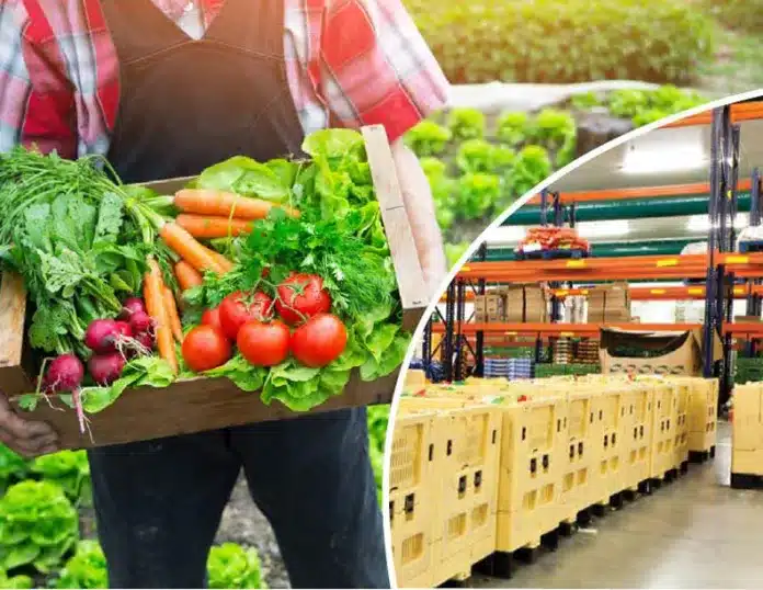 How Energy-Efficient Cold Storage Can Extend Produce Shelf Life